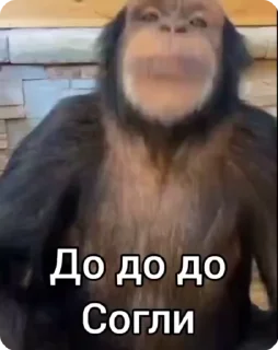 Video sticker 🌟 Больше стиков тут: @stikery4
