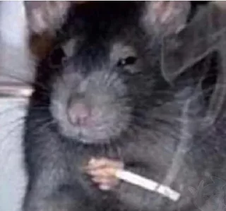 Телеграм стикер 🚬 Больше стиков тут: @stikery4