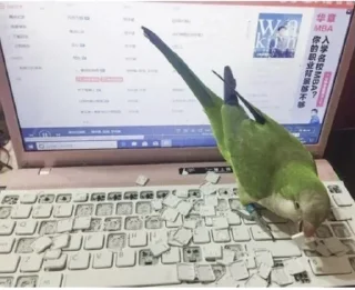 Телеграм стикер ⌨️ Больше стиков тут: @stikery4