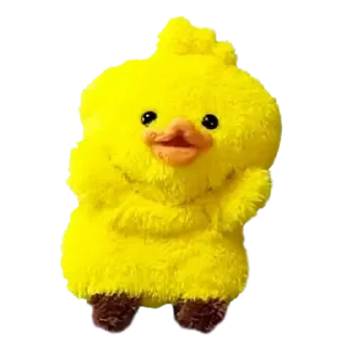 Video sticker ⭐ 베리꺼야