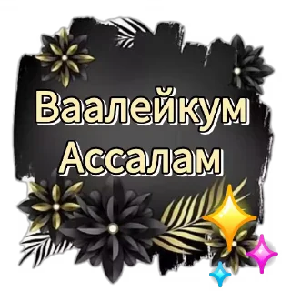 Video sticker 🤝 СТИКЕРЛАР ОЛАМИ.