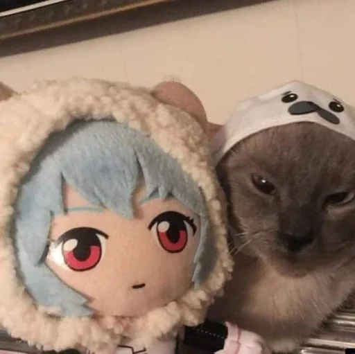 Телеграм стикер 🌟 @Dankamuy :: esquizoposting :: @fStikBot