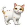 Sticker 🐈 маришкин пак @marishkinch