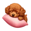 Sticker 🐶 маришкин пак @marishkinch