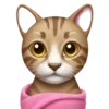 Sticker 🐈 маришкин пак @marishkinch