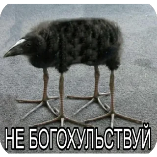Telegram stiker 🫥 Балуйся @MyDuck_mems