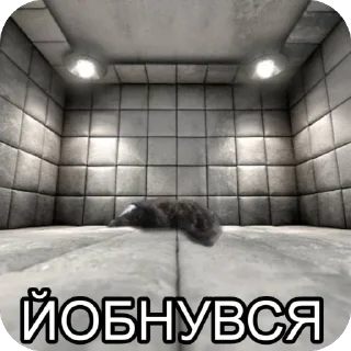 Telegram stiker 🫥 Балуйся @MyDuck_mems