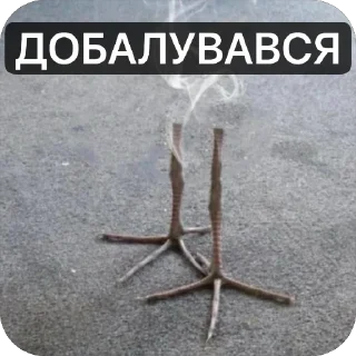 Telegram stiker 🫥 Балуйся @MyDuck_mems