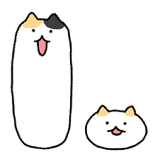 Video sticker ⭐ 찌그러진 바보 삼색고양이 8 @moe_sticker_bot