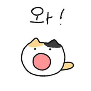 Video sticker ⭐ 찌그러진 바보 삼색고양이 8 @moe_sticker_bot