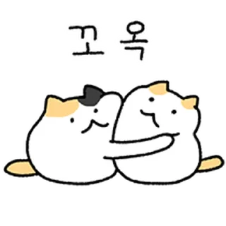 Telegram sticker ⭐ 찌그러진 바보 삼색고양이 8 @moe_sticker_bot