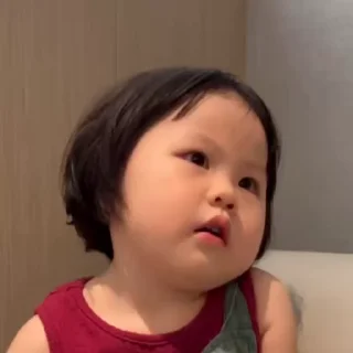 Video sticker 🌟 TG体育大队炒群奖励198u @suozha