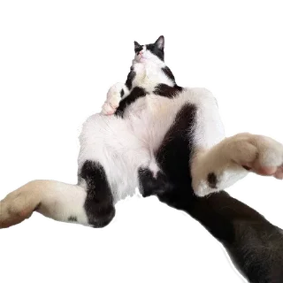 Video sticker 😎 Гаражик