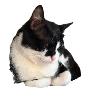 Telegram sticker 😏 Гаражик