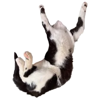 Sticker 😩 Гаражик