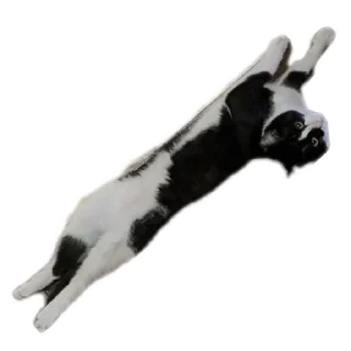 Telegram sticker 🧱 Гаражик