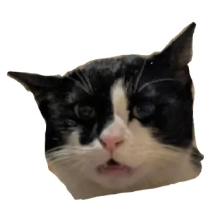 Telegram sticker 😟 Гаражик