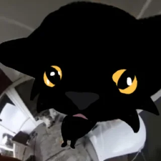 Video sticker 😦 Жучка