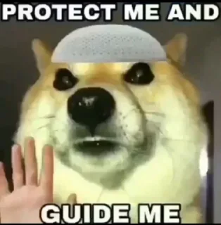 Telegram sticker 🤔 Ones kang pack