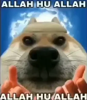 Telegram sticker 🤔 Ones kang pack