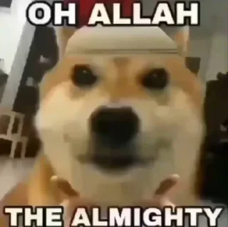 Telegram sticker 🤔 Ones kang pack