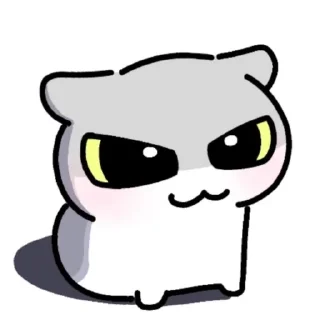 Video sticker 🐱 over