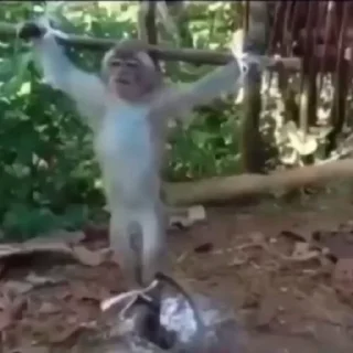 Video sticker 💀 xxᴛᴇɴᴛᴀᴄɪᴏɴxx's video pack