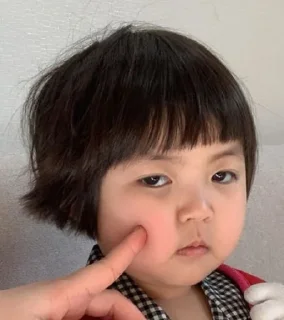 Telegram stiker 🤕 Pan