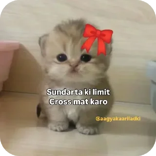 Telegram sticker 🌟 RANDOM v.1 @TheChampu @TheShivanshu