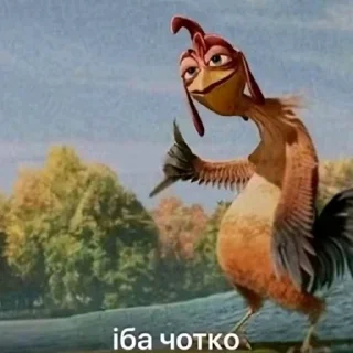 Video sticker 🐓 iба чотко