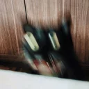 Video sticker 😾 Broken Cats