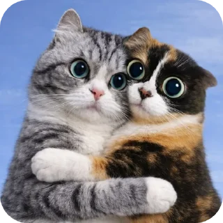 Телеграм стикер 🐱 @TihiyOmat ← ПОДПИШИСЬ [Кукi из Тихого Омута]