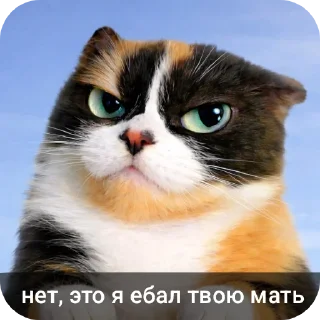 Telegram sticker 🐱 Кукi из Тихого Омута [@TihiyOmat ← ПОДПИШИСЬ]
