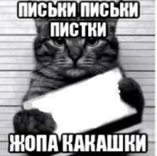 Telegram sticker 👏 оп :: @fStikBot