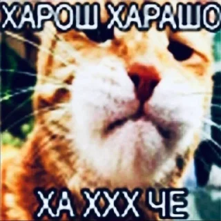 Telegram sticker ❤️ оп :: @fStikBot