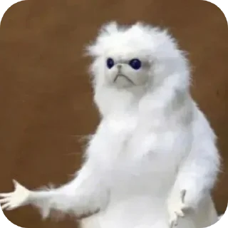 Video sticker 🐦 Neuvillette:عشوائيات