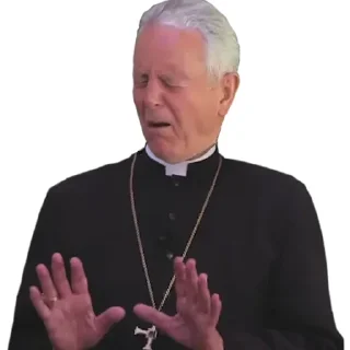 Video sticker 🙏 Bishop Richard Williamson
