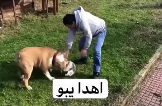 Video sticker 🌚 @imetho | إيثو