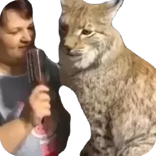 Video sticker 🧐 Lynxhood | Alivion