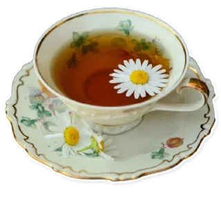 Video sticker 🍵 Анонимный чат: @anonimnyi_chatbot 💓