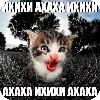 Telegram stiker 😹 @sticksbb <— больше стиков💓💘💞