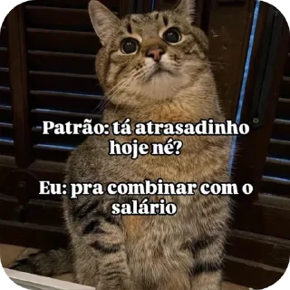 Video sticker 👍 É só peteco :: @fStikBot