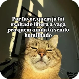 Telegram sticker 🖼 É só peteco :: @fStikBot