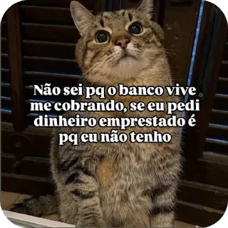 Telegram sticker 👍 É só peteco :: @fStikBot