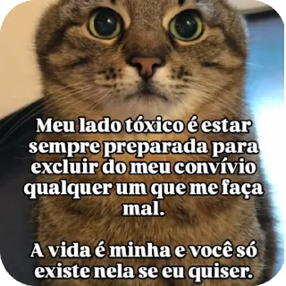 Telegram sticker 😉 É só peteco :: @fStikBot