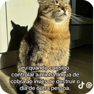 Telegram sticker 🐱 É só peteco :: @fStikBot