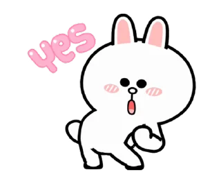 Video sticker ⭐ @stickers_meli