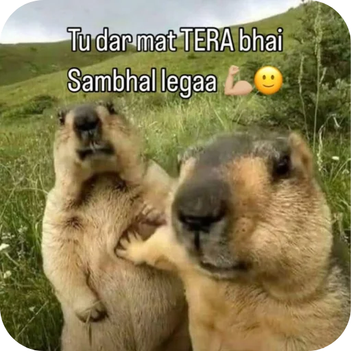 Telegram stiker 😀 GIO PACK ❗
