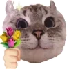 Sticker 😼 @soldfo