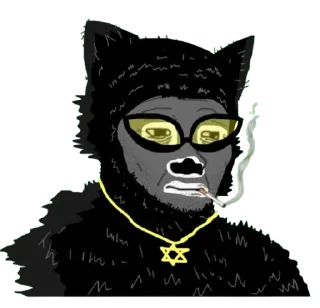 Video sticker 😿 מג;לק